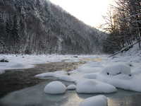  img_4765.jpg 