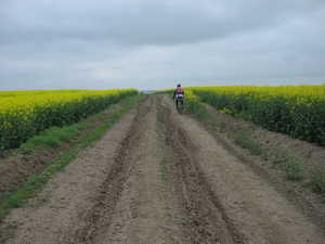  img_9145.jpg 